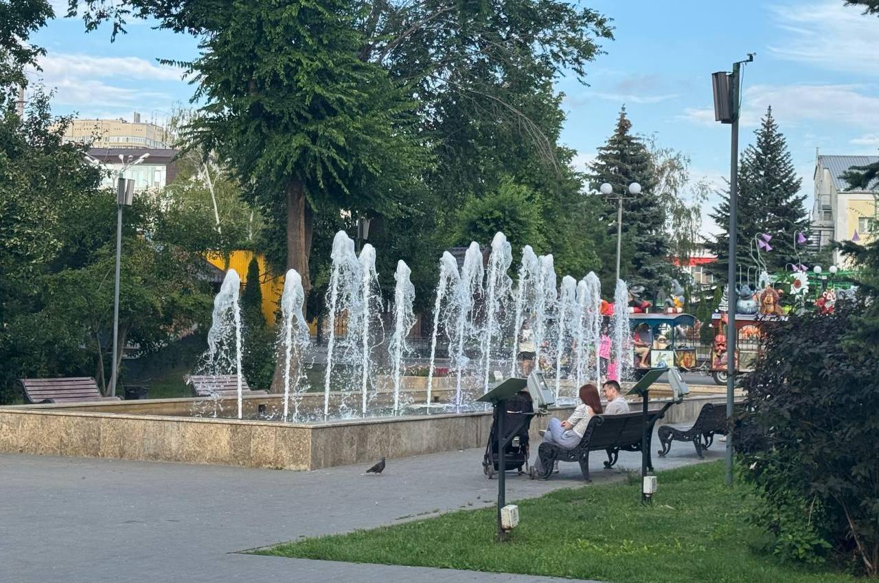 Туалет, площадки, освещение: по жалобам жителей власти Энгельса займутся городским парком